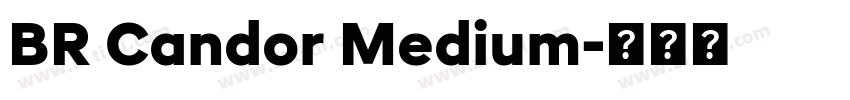 BR Candor Medium字体转换